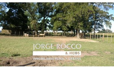 Campo en venta en Ranchos. 195 Has. ganaderas