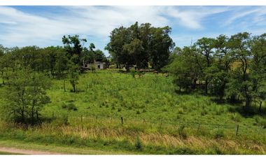 Campo en venta en Chascomnus - Ranchos. 195 Has. ganaderas