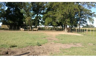 Campo en venta en Ranchos. 195 Has. ganaderas