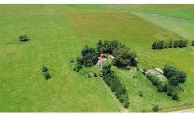 Campo en venta en Chascomnus - Ranchos. 195 Has. ganaderas