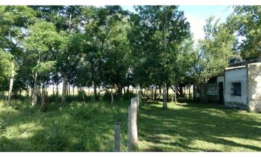 Campo en venta en Ranchos. 195 Has. ganaderas