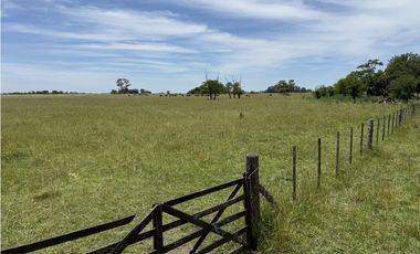 Campo en venta en Chascomnus - Ranchos. 195 Has. ganaderas