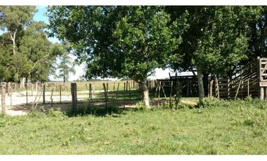 Campo en venta en Ranchos. 195 Has. ganaderas