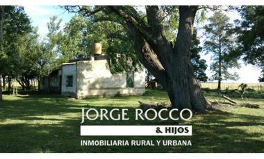 Campo en venta en Ranchos. 195 Has. ganaderas