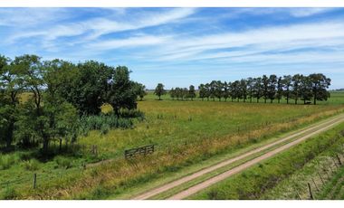 Campo en venta en Chascomnus - Ranchos. 195 Has. ganaderas
