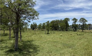 Campo en venta en Chascomnus - Ranchos. 195 Has. ganaderas