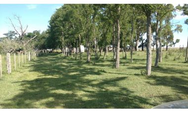 Campo en venta en Ranchos. 195 Has. ganaderas