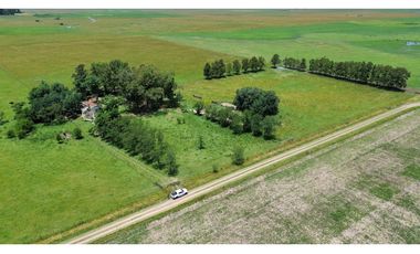 Campo en venta en Chascomnus - Ranchos. 195 Has. ganaderas