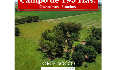 Campo en venta en Chascomnus - Ranchos. 195 Has. ganaderas