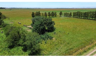 Campo en venta en Chascomnus - Ranchos. 195 Has. ganaderas