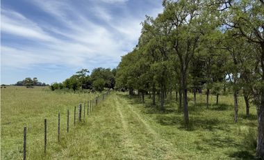 Campo en venta en Chascomnus - Ranchos. 195 Has. ganaderas