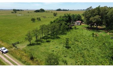 Campo en venta en Chascomnus - Ranchos. 195 Has. ganaderas