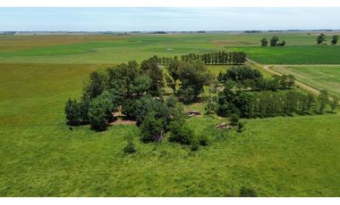 Campo en venta en Chascomnus - Ranchos. 195 Has. ganaderas