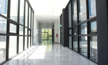 Oficinas en Renta Metepec TORRE LUA