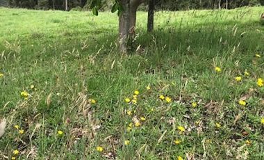 VENTA de FINCAS en GUASCA