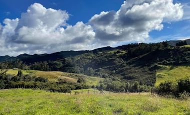 VENTA de LOTES en LA CALERA