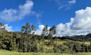 VENTA de LOTES en LA CALERA