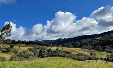 VENTA de LOTES en LA CALERA