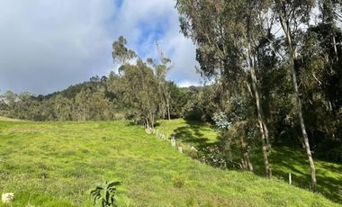 VENTA de LOTES en LA CALERA