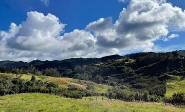 VENTA de LOTES en LA CALERA