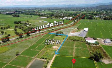 Land for sale in Rong Wua Daeng, Chiang Mai