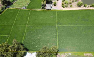 Land for sale in Rong Wua Daeng, Chiang Mai