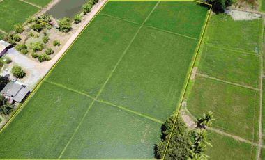 Land for sale in Rong Wua Daeng, Chiang Mai