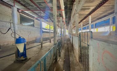 Rancho en venta como terreno