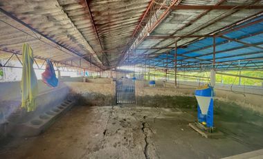 Rancho en venta como terreno