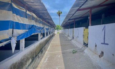 Rancho en venta como terreno