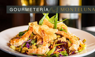 TERRENO EN AJIJIC EN VENTA CON PROYECTO MONTELUNA