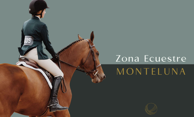 TERRENO EN AJIJIC EN VENTA CON PROYECTO MONTELUNA