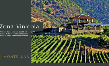 TERRENO EN AJIJIC EN VENTA CON PROYECTO MONTELUNA