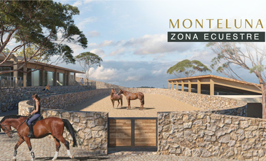 TERRENO EN AJIJIC EN VENTA CON PROYECTO MONTELUNA