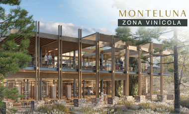 TERRENO EN AJIJIC EN VENTA CON PROYECTO MONTELUNA