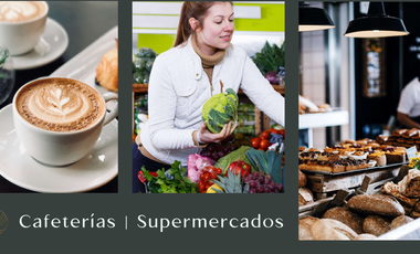 TERRENO EN AJIJIC EN VENTA CON PROYECTO MONTELUNA