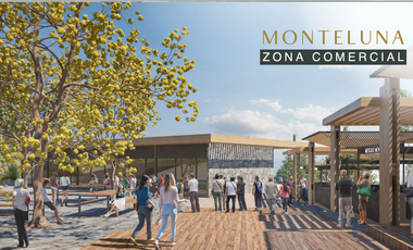 TERRENO EN AJIJIC EN VENTA CON PROYECTO MONTELUNA