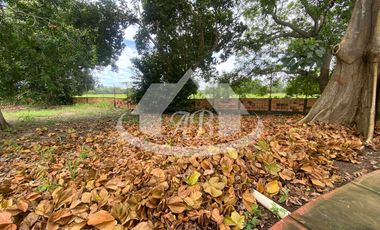 LOTE EN VENTA PILAMO |1699