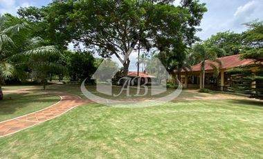 LOTE EN VENTA PILAMO |1699