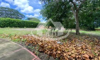 LOTE EN VENTA PILAMO |1699