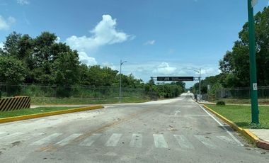 VENTA TERRENO PALENQUE JUNTO A ESTACION DEL TREN MAYA CREDITO BBVA