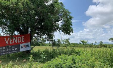 VENTA TERRENO PALENQUE JUNTO A ESTACION DEL TREN MAYA CREDITO BBVA