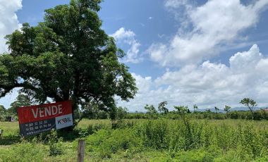 VENTA TERRENO PALENQUE JUNTO A ESTACION DEL TREN MAYA CREDITO BBVA