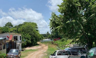 VENTA TERRENO PALENQUE JUNTO A ESTACION DEL TREN MAYA CREDITO BBVA