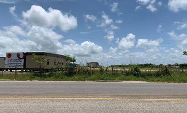 VENTA TERRENO PALENQUE JUNTO A ESTACION DEL TREN MAYA CREDITO BBVA
