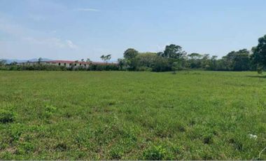 VENTA TERRENO PALENQUE JUNTO A ESTACION DEL TREN MAYA CREDITO BBVA