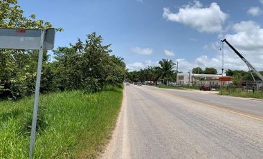 VENTA TERRENO PALENQUE JUNTO A ESTACION DEL TREN MAYA CREDITO BBVA
