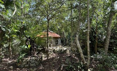 TERRENO VENTA PUEBLO SACBE PLAYA DEL CARMEN COMUNIDAD ECO SUSTENTABLE CON CENOTE