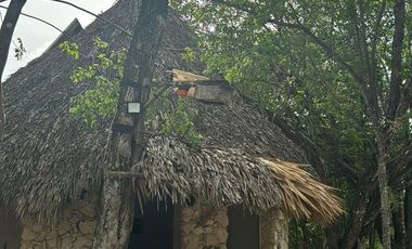 TERRENO VENTA PUEBLO SACBE PLAYA DEL CARMEN COMUNIDAD ECO SUSTENTABLE CON CENOTE