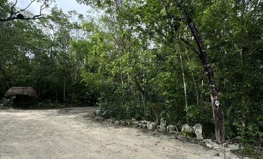 TERRENO VENTA PUEBLO SACBE PLAYA DEL CARMEN COMUNIDAD ECO SUSTENTABLE CON CENOTE